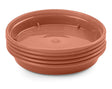 Image - Whitefurze Basic Garden Plant Pot Saucer, 10cm, Set of 5, Terracotta