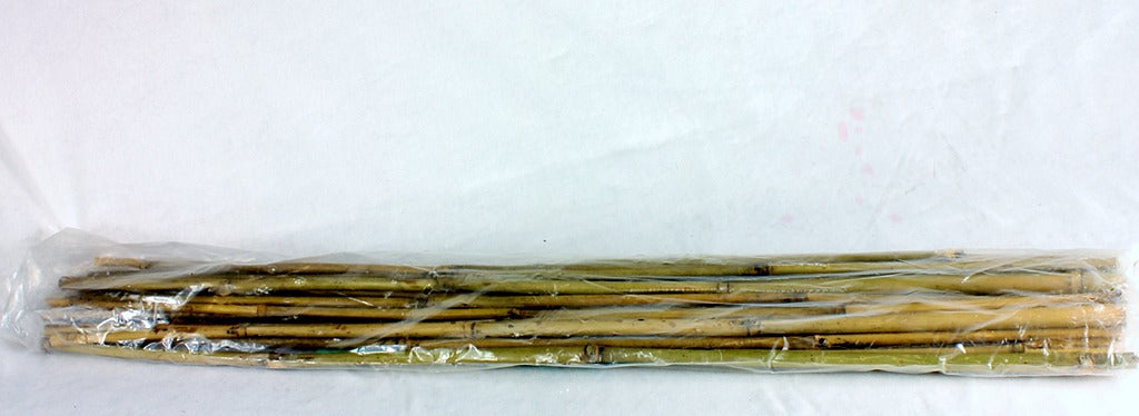 Image - JVL Bamboo Cane, Pack of 20, Natural, 2 Feet
