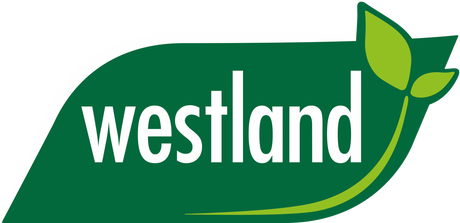 Image - Westland Gro-Sure Easy Containers All-Purpose Compost, 25L