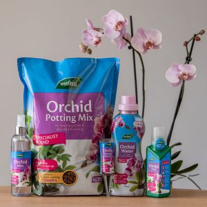 Image - Westland Orchid Potting Mix, 4L