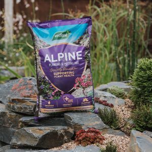 Image - Westland Alpine Planting & Potting Mix, 25L