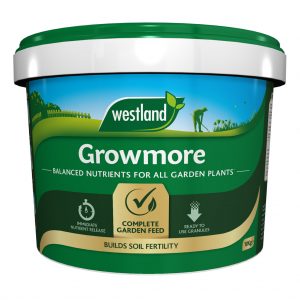 Image - Westland Growmore Fertiliser, 10kg