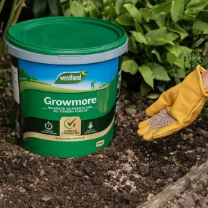 Image - Westland Growmore Fertiliser, 10kg