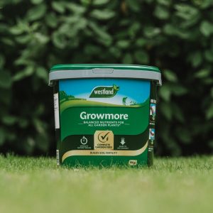 Image - Westland Growmore Fertiliser, 10kg