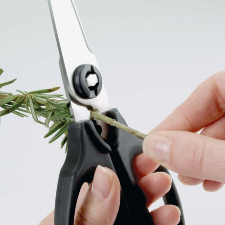 Image - OXO Good Grips Kitchen And Herb Scissors, Black