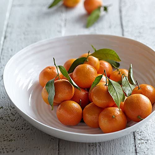 Portmeirion Sophie Conran Porcelain Large Statement Bowl, White